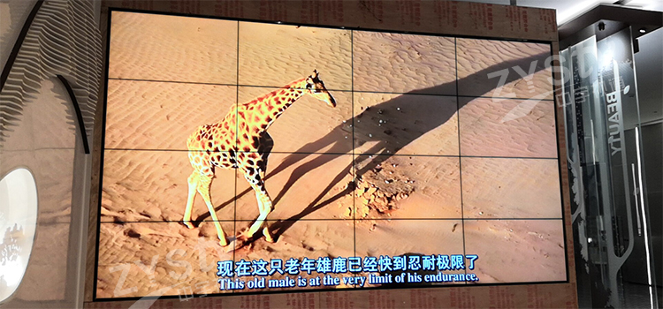 內頁6.jpg 內頁6.jpg