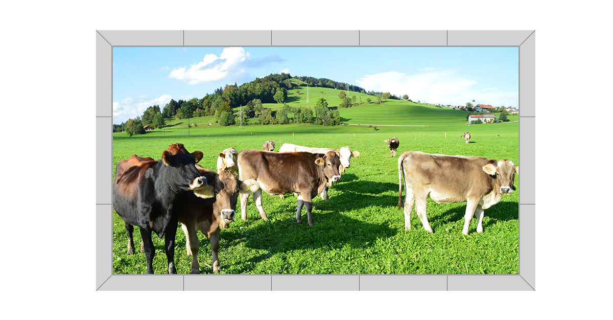 1573091411357420.jpg 戶外_14.jpg